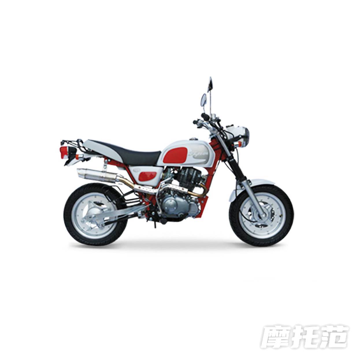  狒狒ST125-10