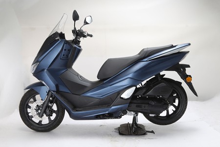 古思特海豚-乐游