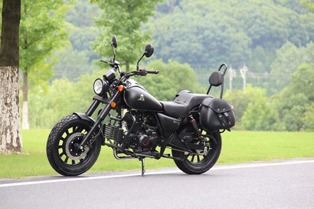 迅龙摩托车品牌>远航太子报价车型图片-摩托范-哈罗摩托