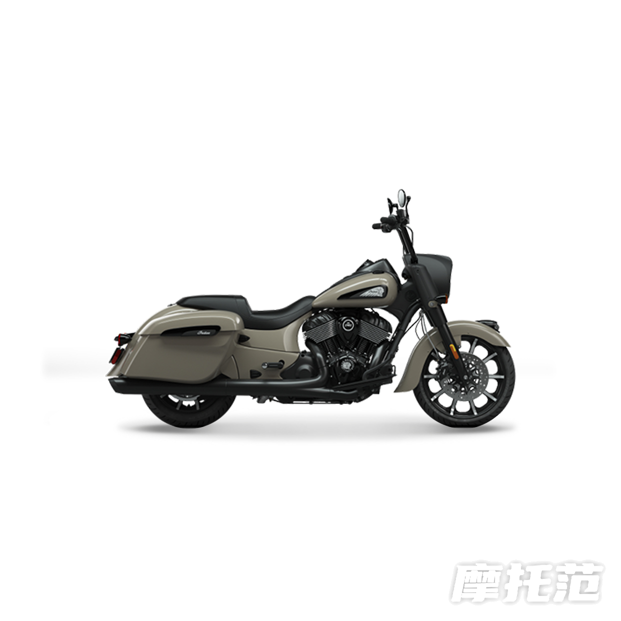  领地黑马 Springfield Dark Horse