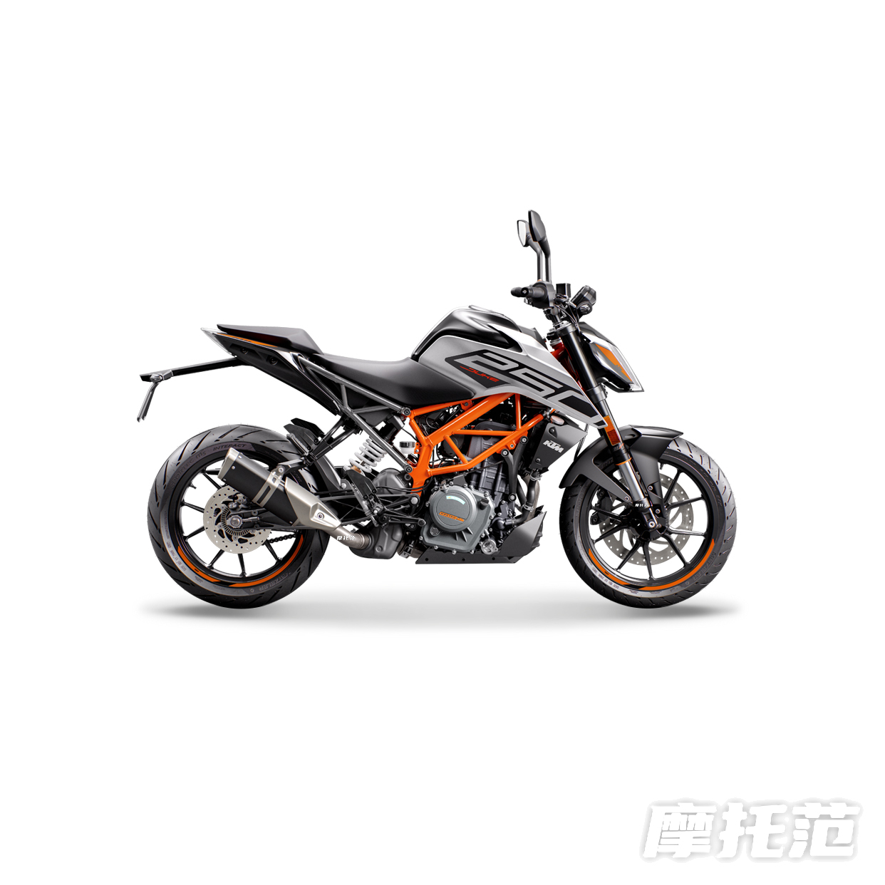  250 Duke