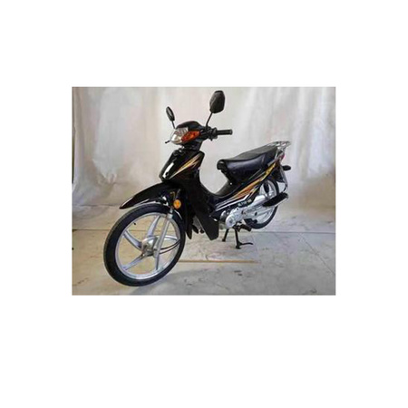 SL110-6S
