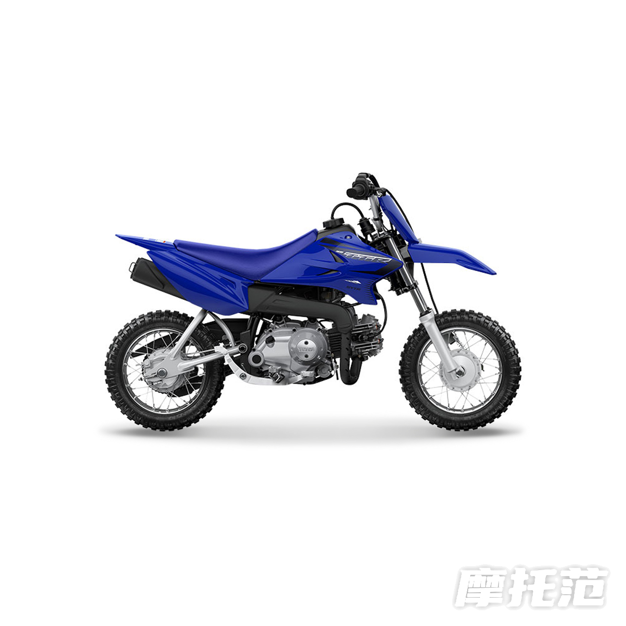  TTR50
