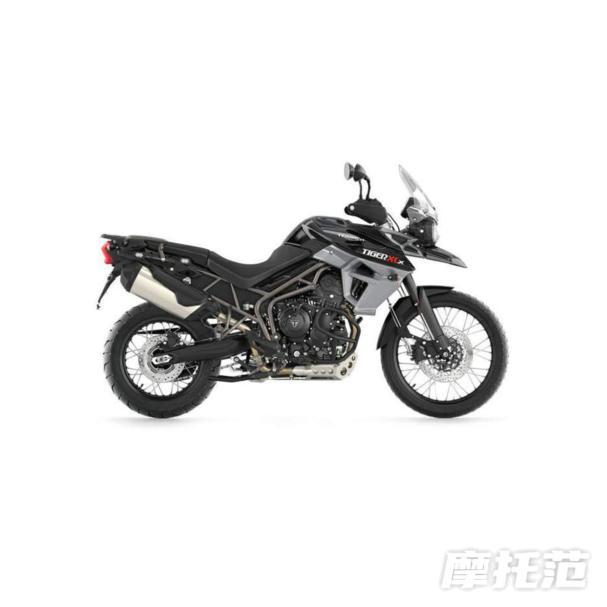 Tiger 800XCx Low