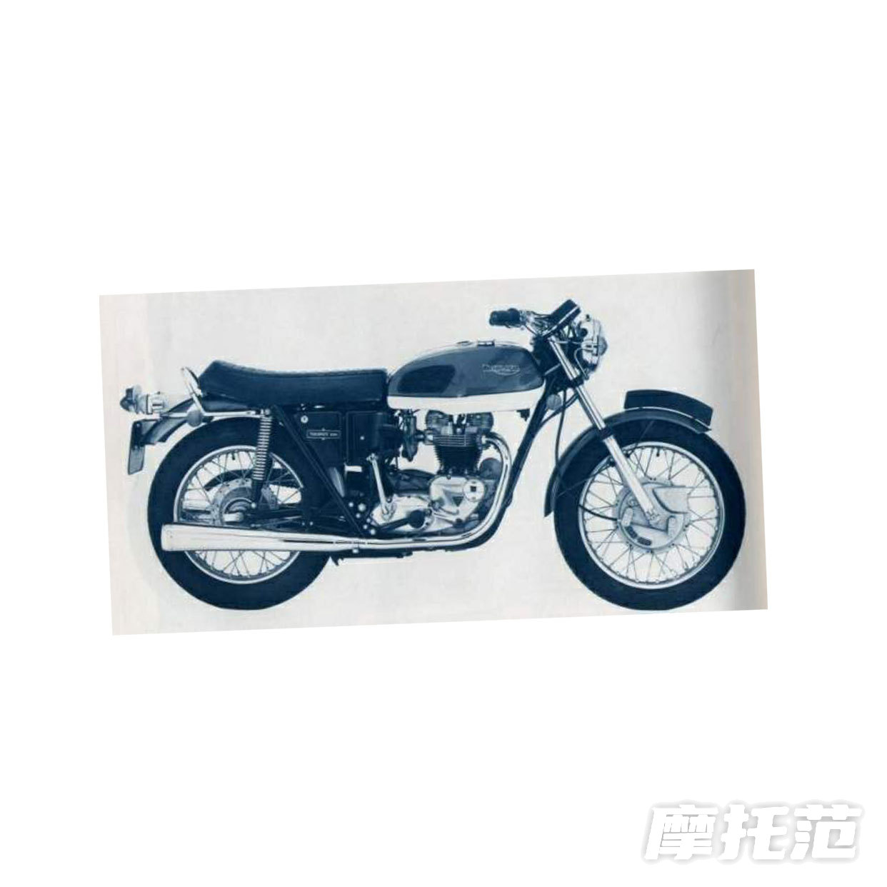  TR 6R 650 Tiger