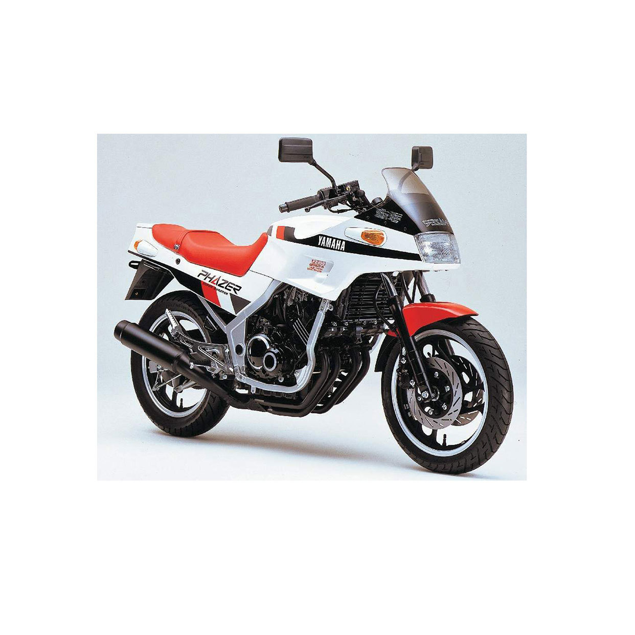  FZ 250 Fazer